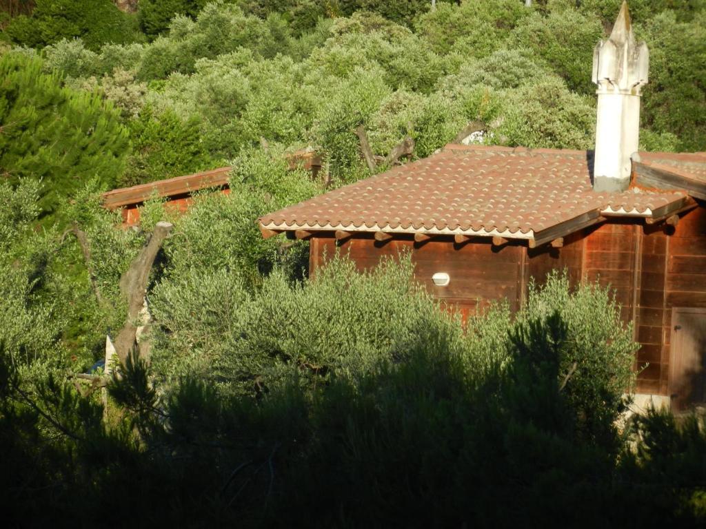 Tenuta Molino Di Mare- Ecoresort Con Villini Rodi Garganico Exterior photo